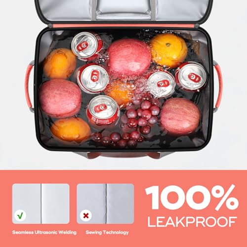 Collapsible Soft Cooler Bag B62547