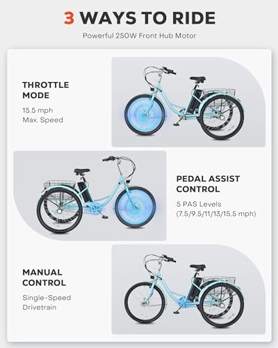 24 inch 250W Electric Tricycle with 468Wh Removable Battery D151452