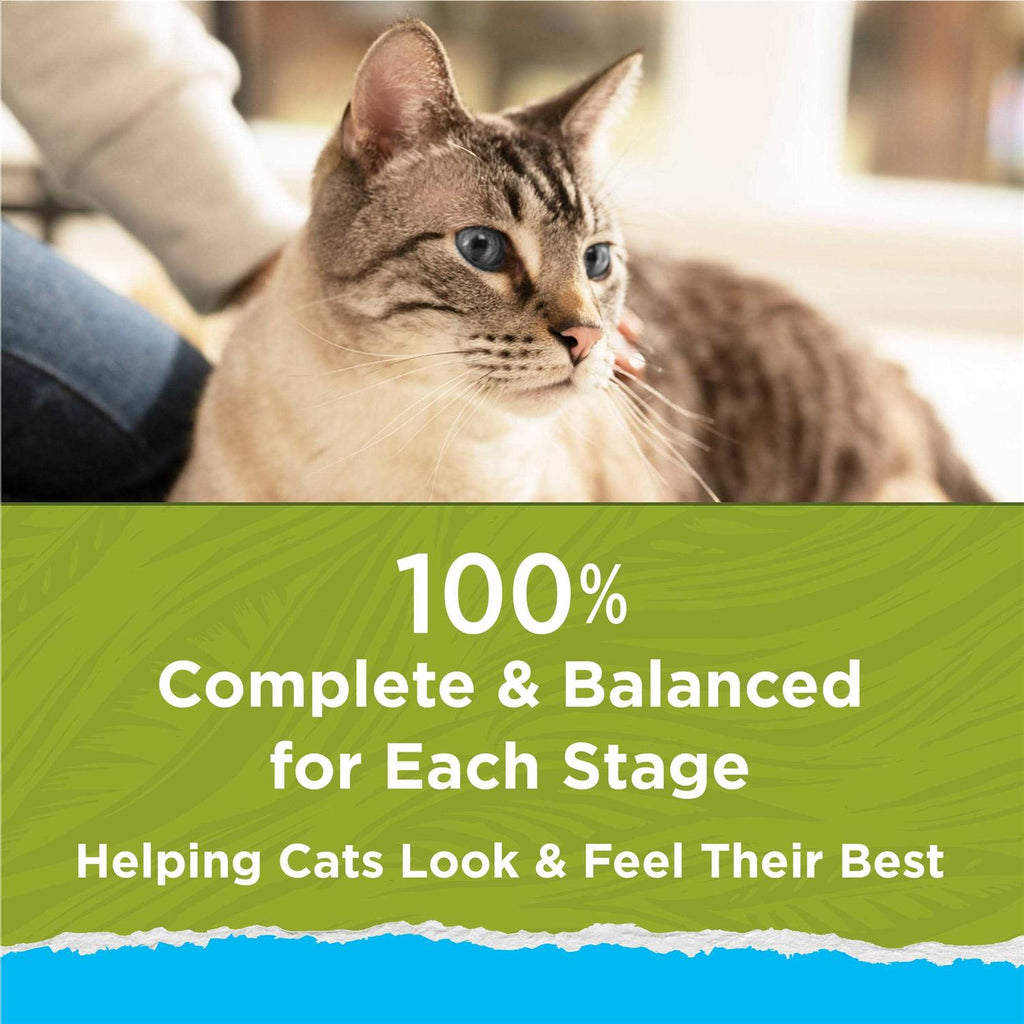 Indoor Dry Cat Food Y863