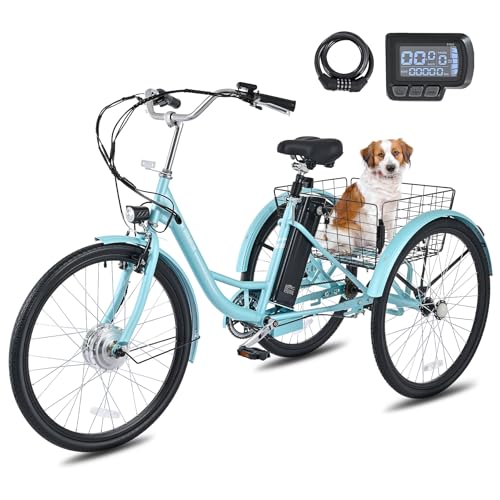 24 inch 250W Electric Tricycle with 468Wh Removable Battery D151452