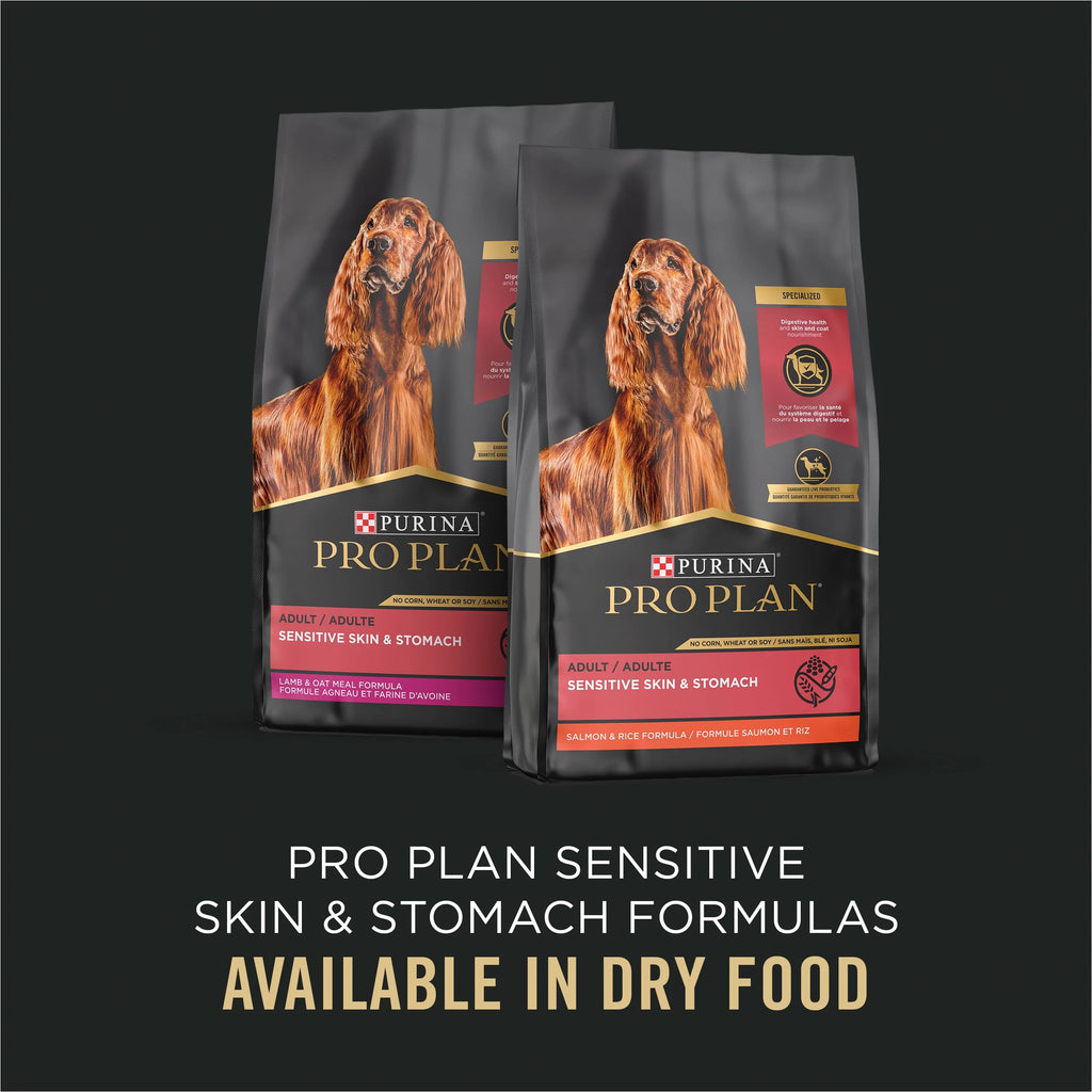 Dry Dog Food Sensitive Stomach Salmon & Rice 13 oz Cans 12 Pack S80830