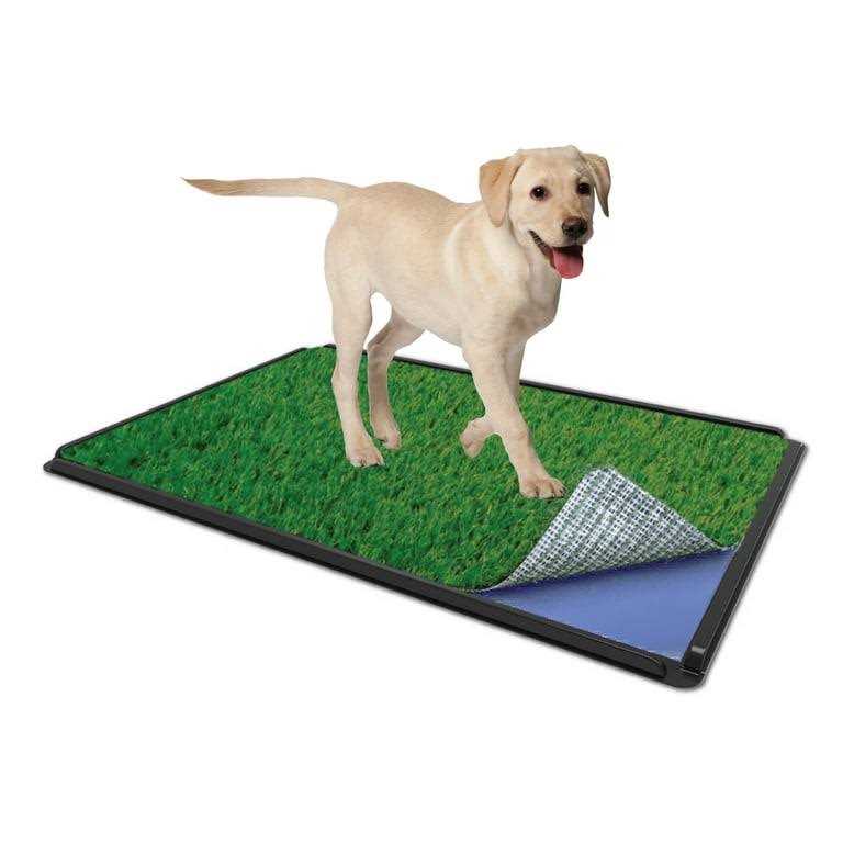 Indoor Dog Potty System 16 x 24 A7738