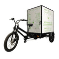 Electric Cargo Trike R9139