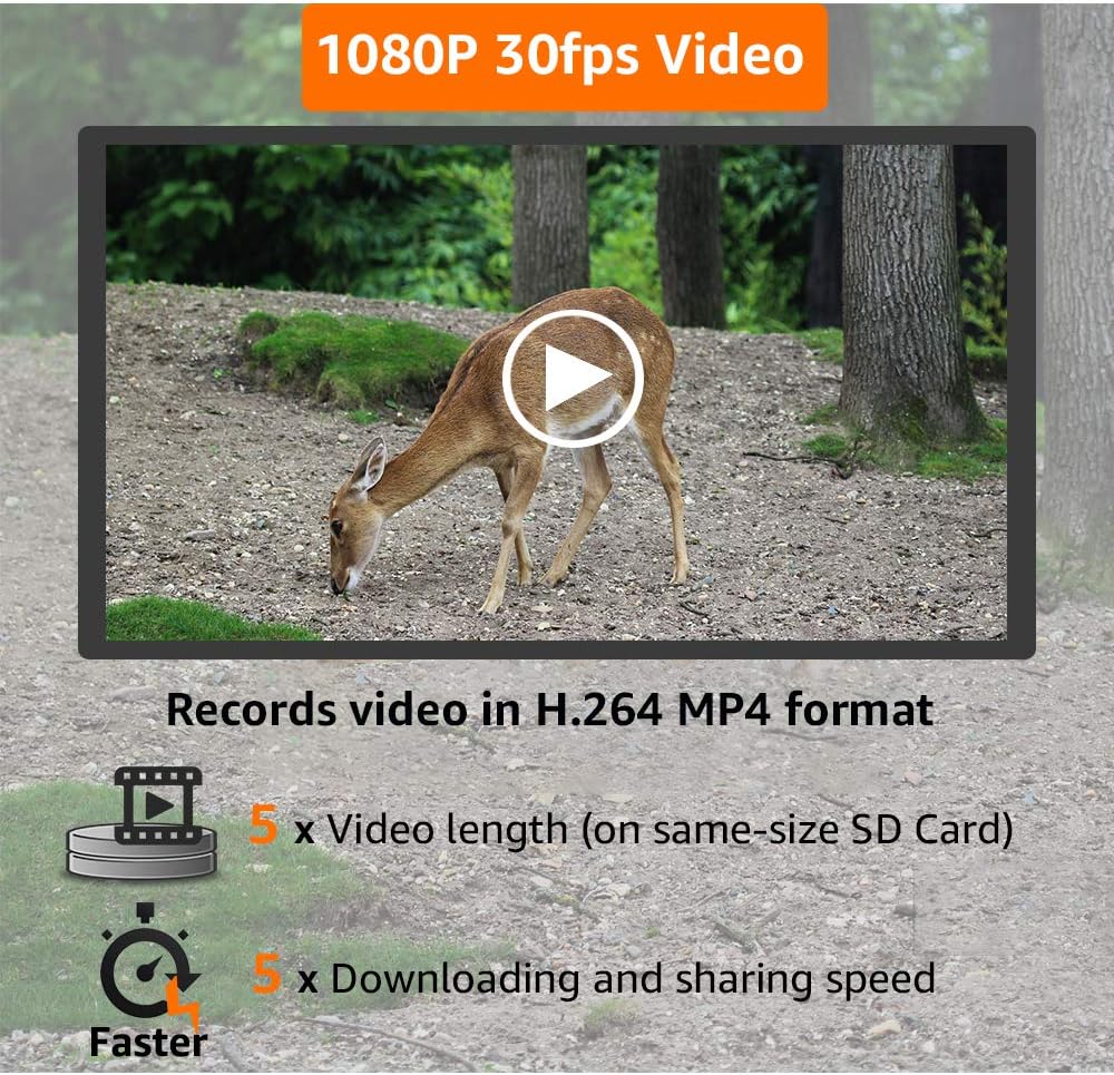 32MP 1080P No Glow Night Vision IP66 Waterproof Trail Game Camera Pack of 2 W727