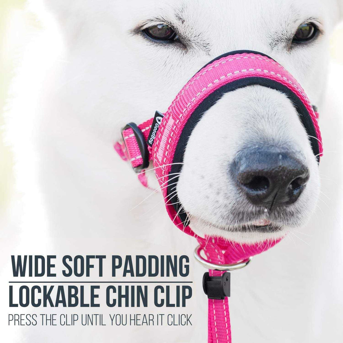 Dog Head Halter with Safety Strap B326