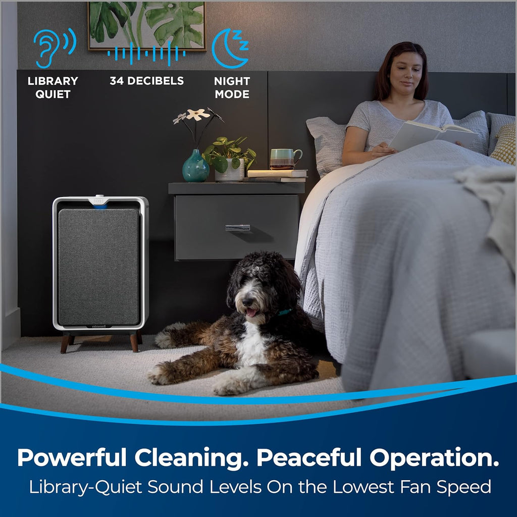 Smart Air Purifier with HEPA and Carbon Filters F425