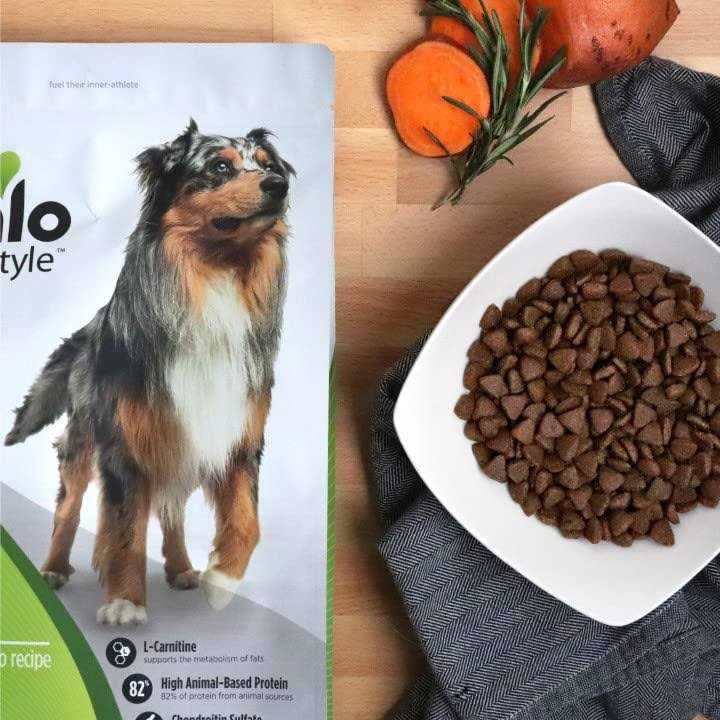 Grain-Free Trout & Sweet Potato Dry Dog Food J932