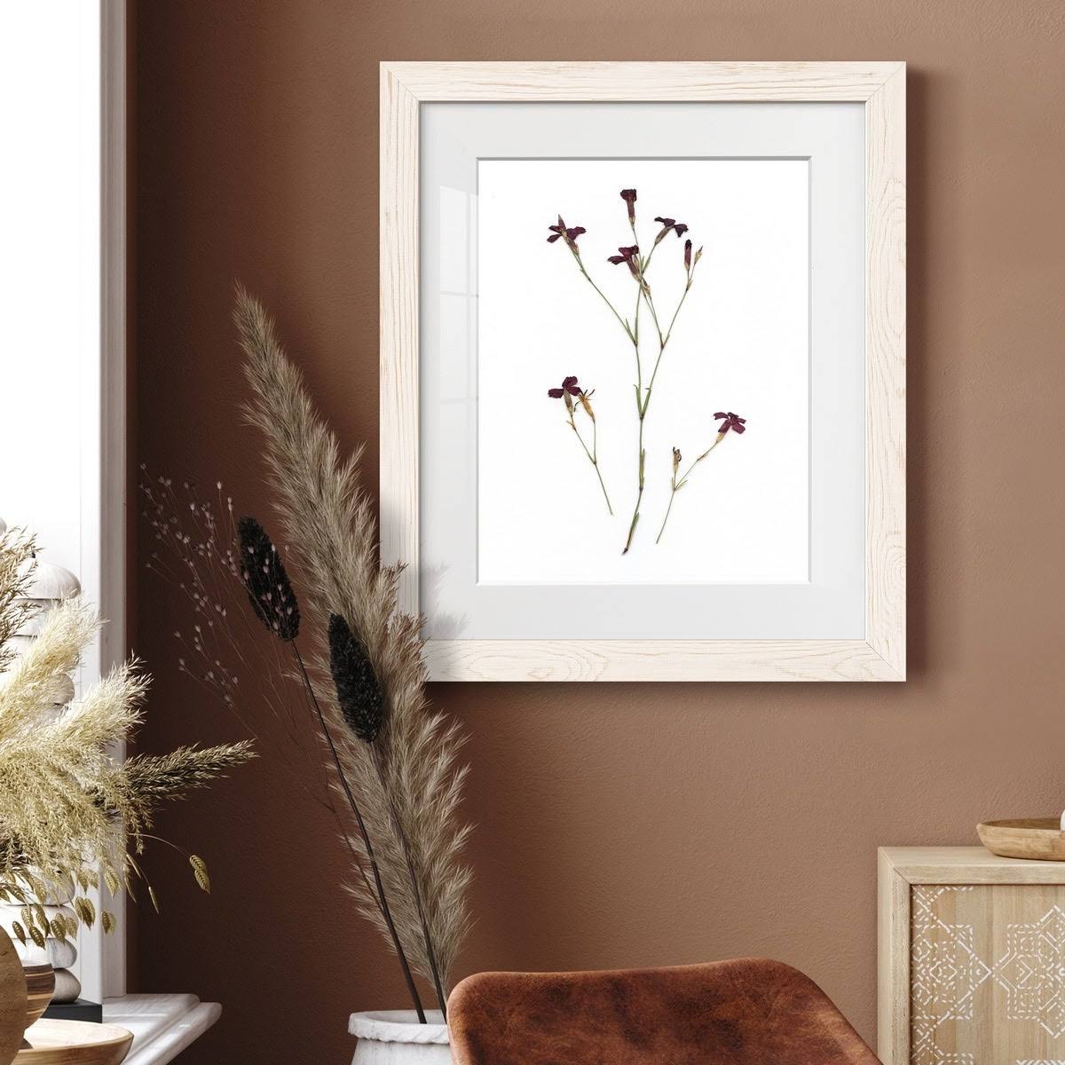 Walnut Framed Print Z683788
