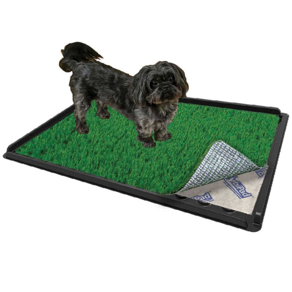 Indoor Dog Potty System 16 x 24 A7738