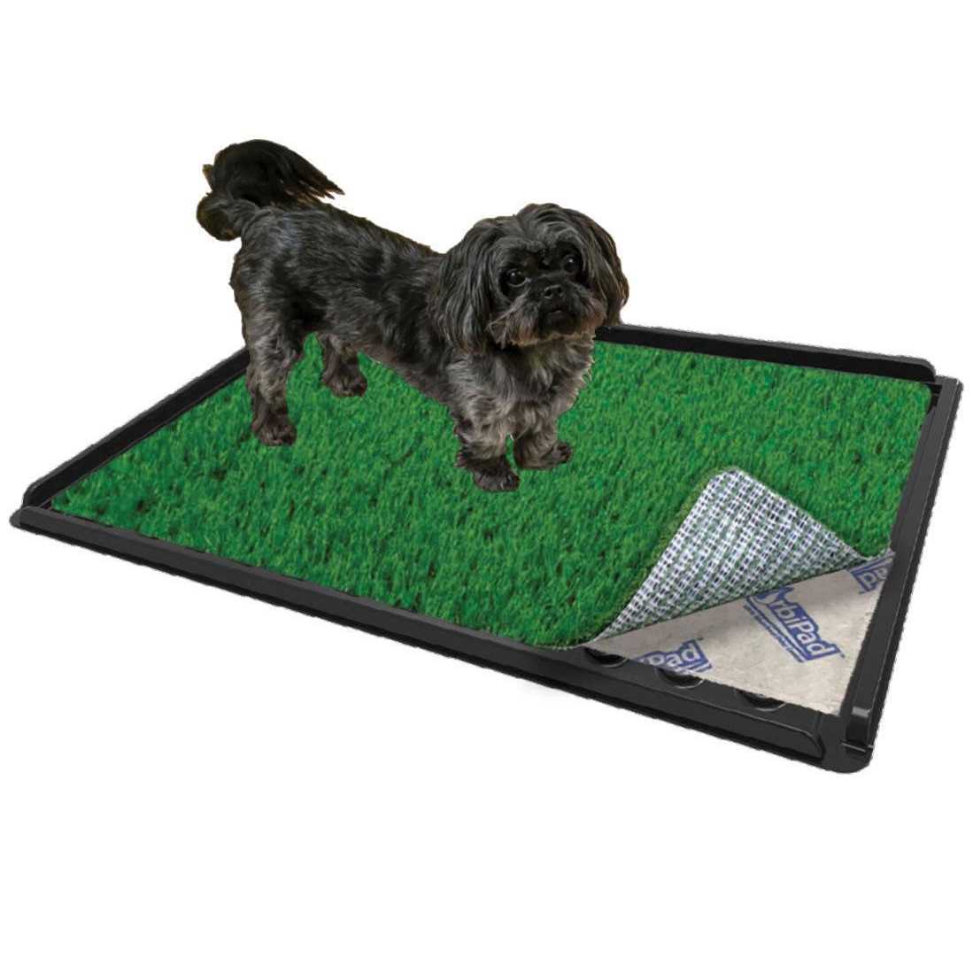 Indoor Dog Potty System 16 x 24 A7738