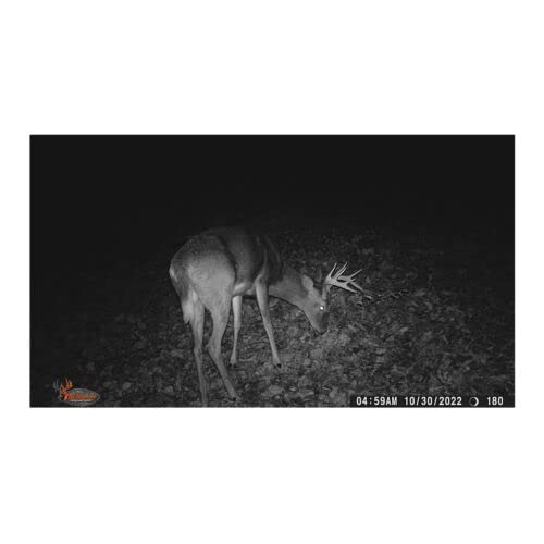 14 Megapixel IR Trail Camera X722