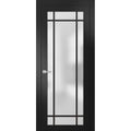 Matte Black Frosted Glass Solid French Door 32 x 84 inches I150