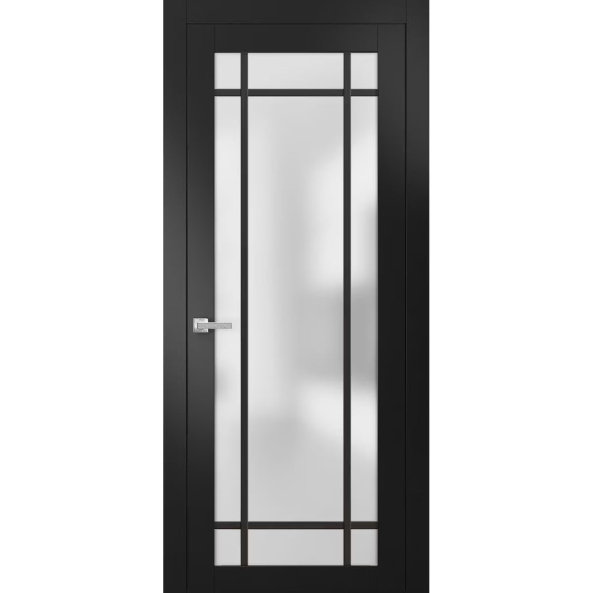 Matte Black Frosted Glass Solid French Door 32 x 84 inches I150