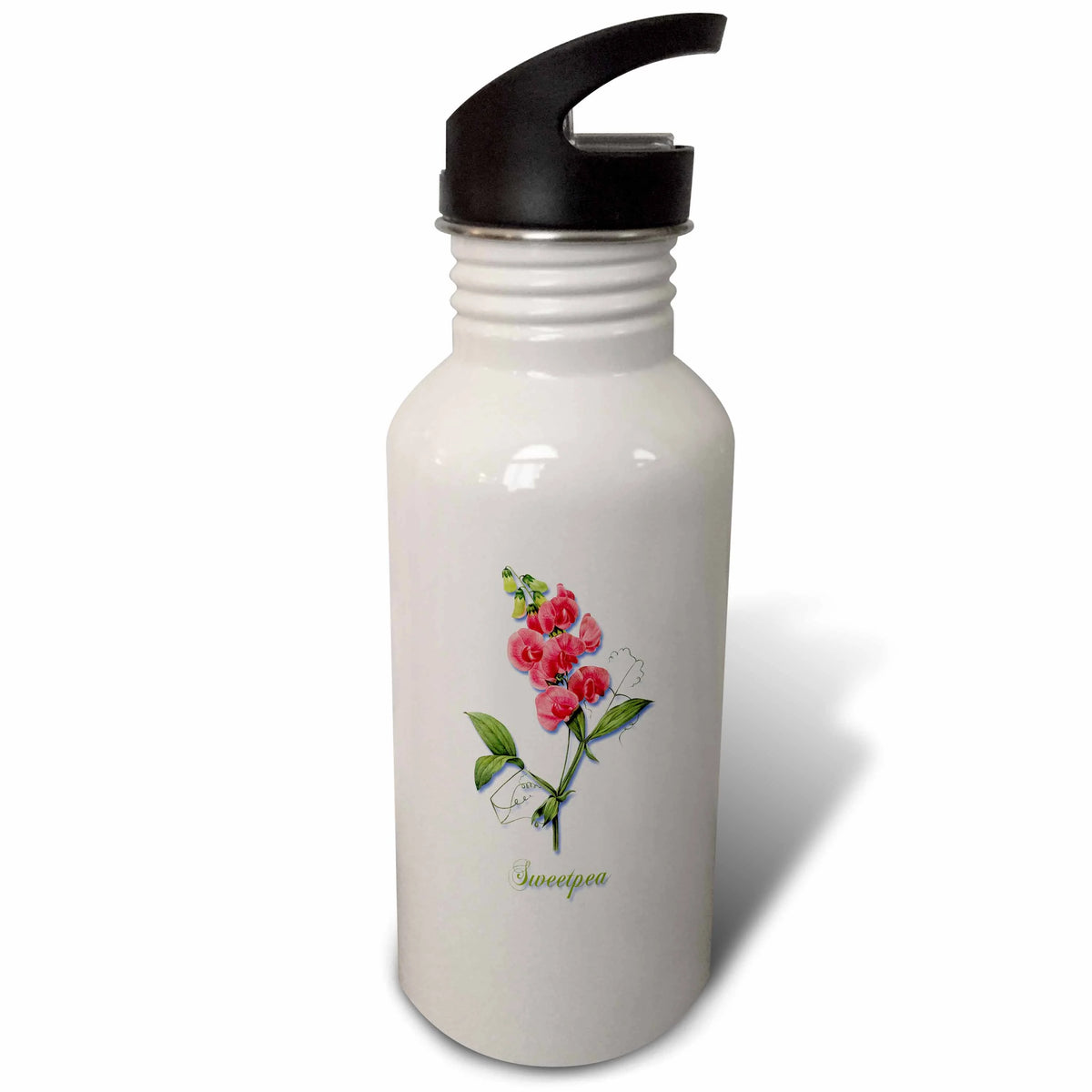 Red Vining Annual Sweetpea Botanical Print 21 oz Sports Water Bottle V125