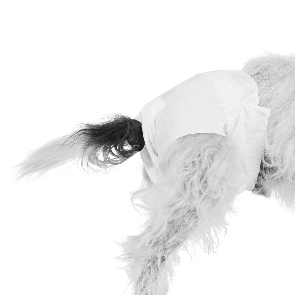 Disposable Pet Diapers Y7694