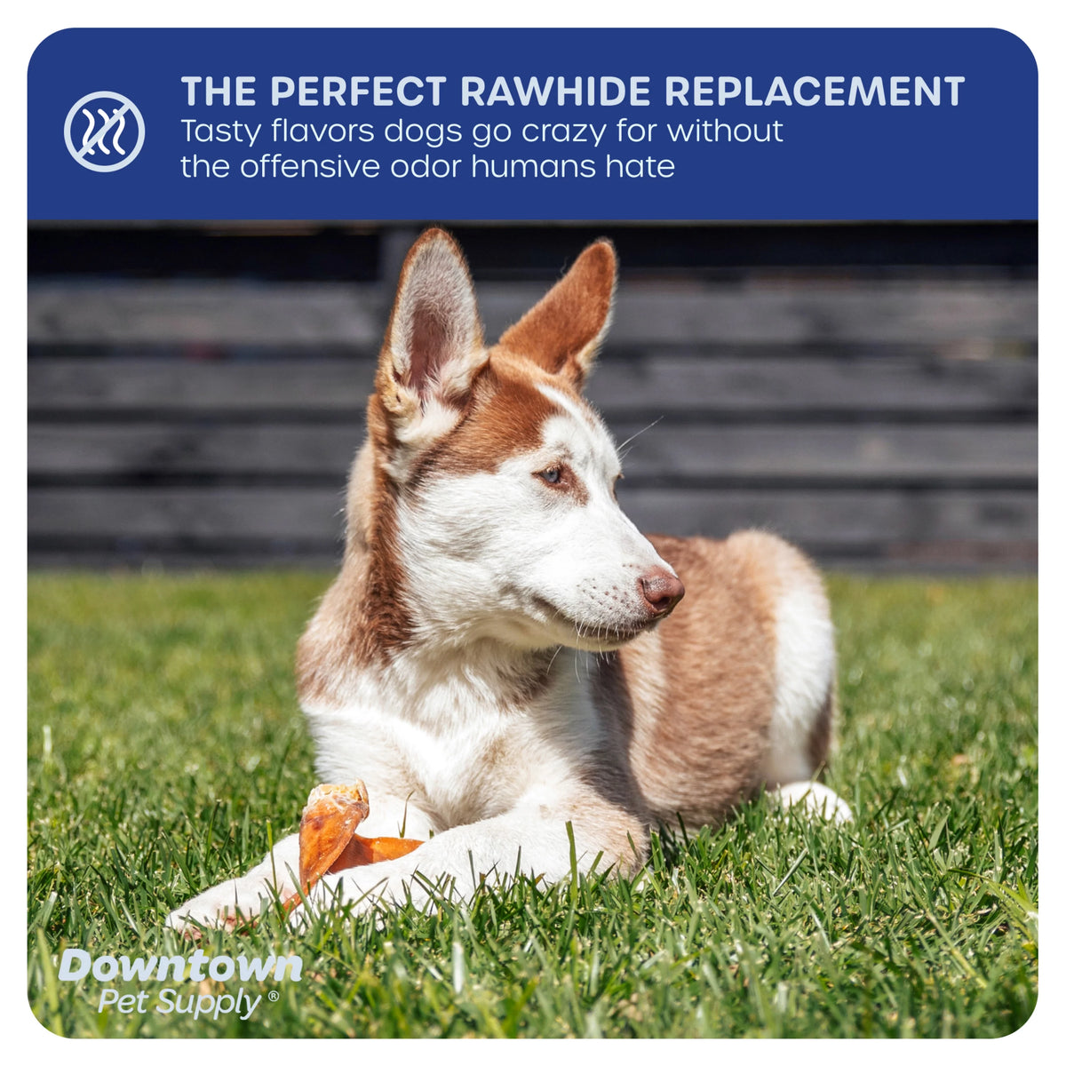 35 Pack Pig Ears Dog Chews Q77741