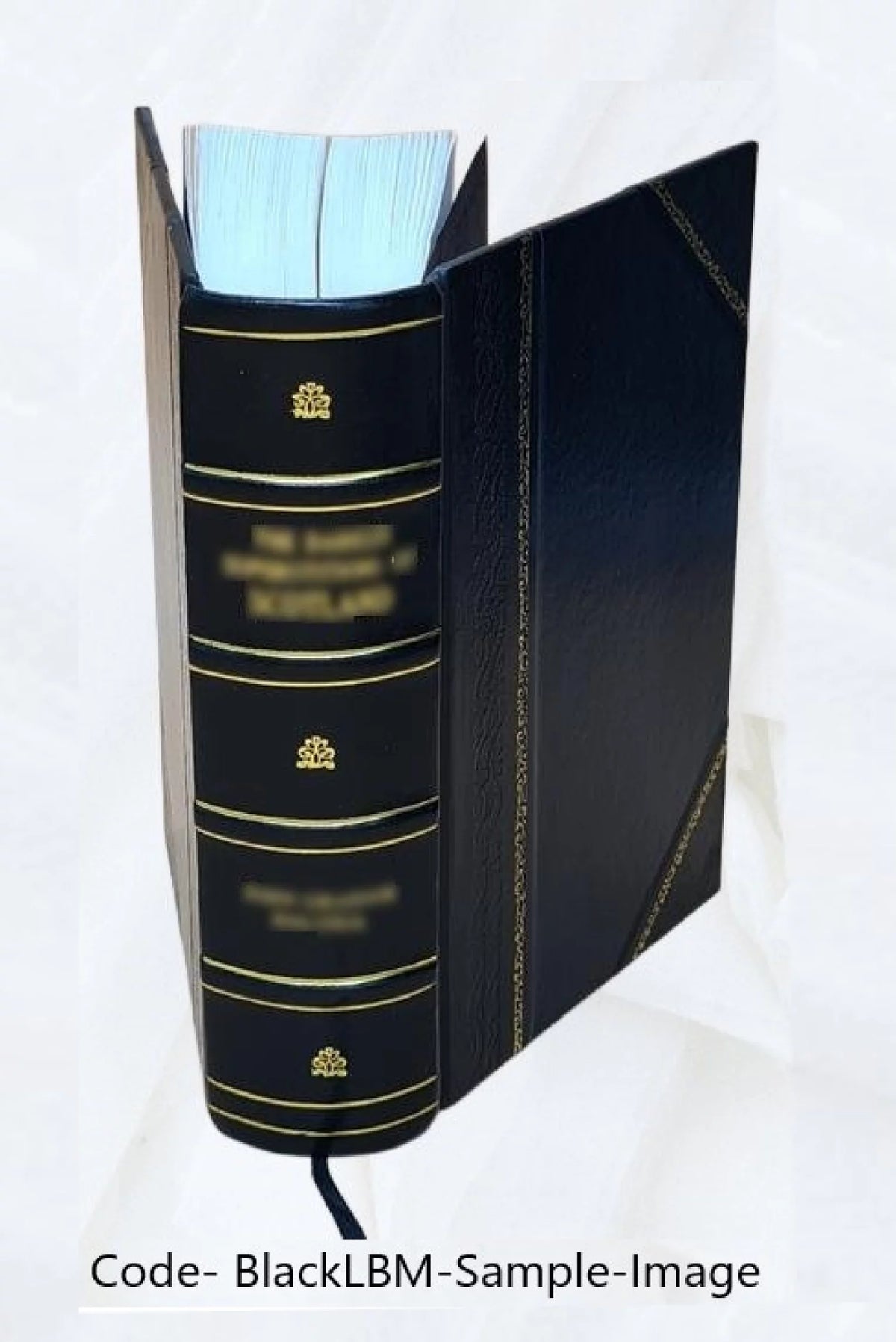 Leather Bound Book E686127