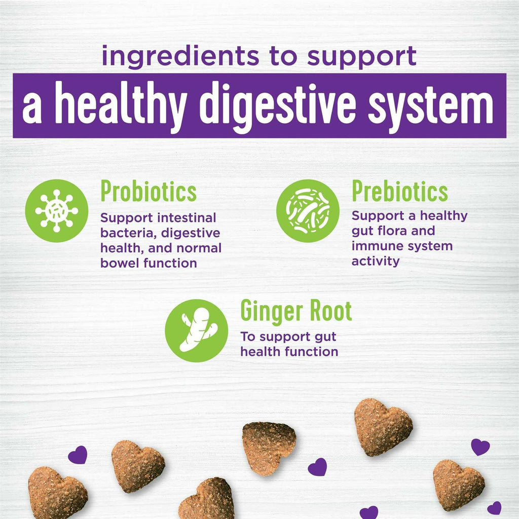 Pumpkin Flavored Soft Chew Digestive Health Supplements for Dogs F93224