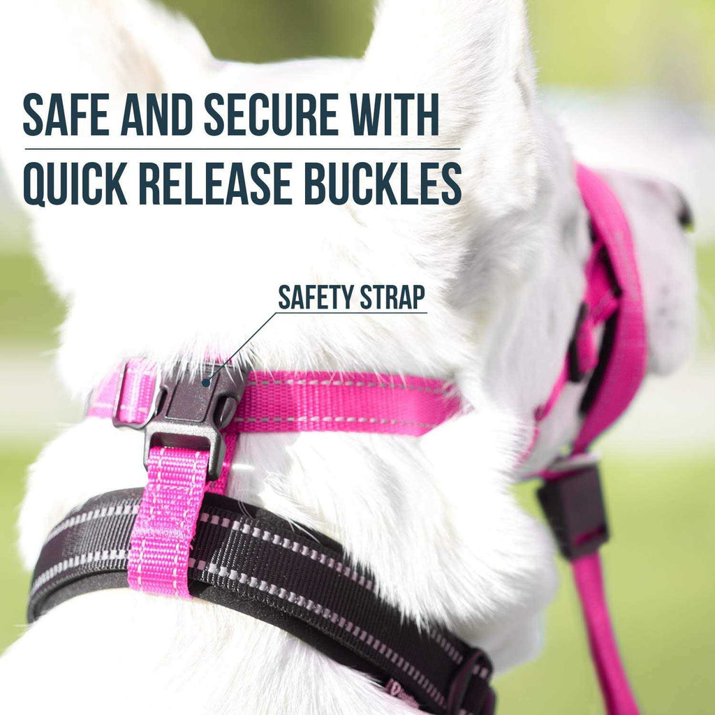 Dog Head Halter with Safety Strap B326