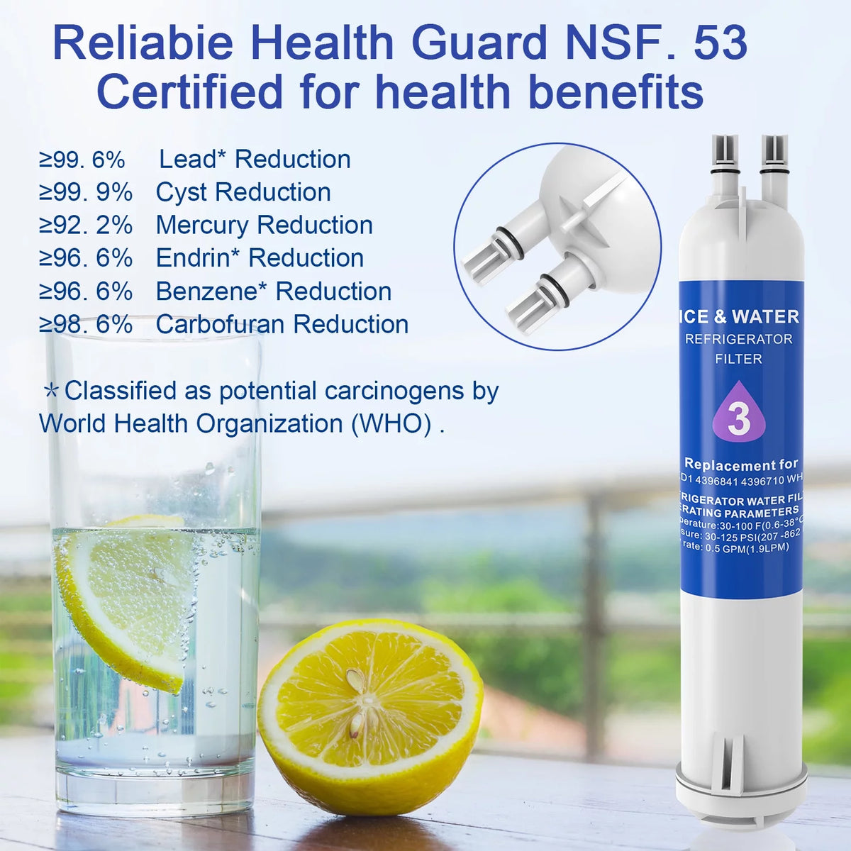 Water Filter 2-Pack M9818