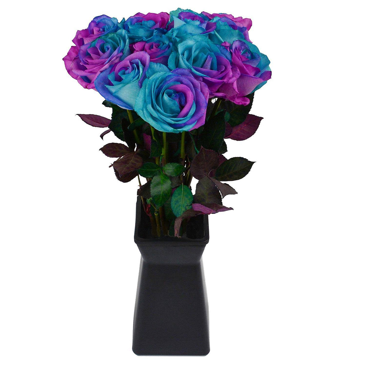 Roses, Tinted Pink and Blue (50 Stems) U742