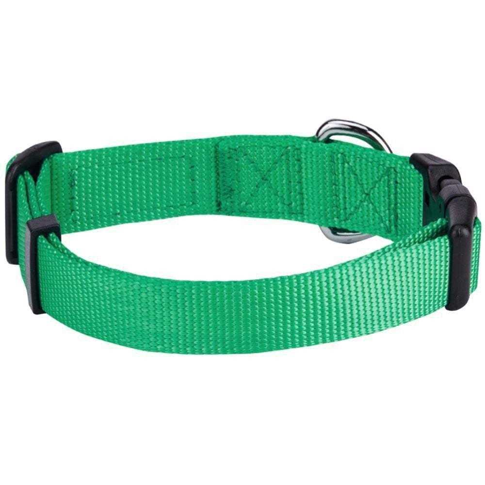 Classic Dog Collar V909306