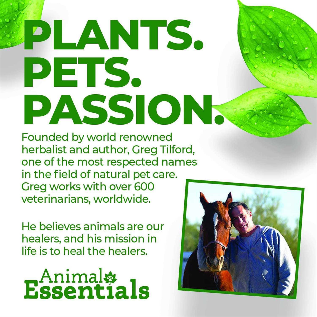 Liver Defense Pet Supplies T972