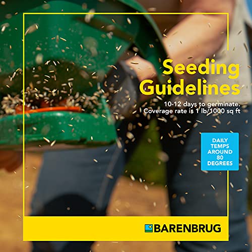25 LB Bag Bermudagrass Grass Seed Y52236