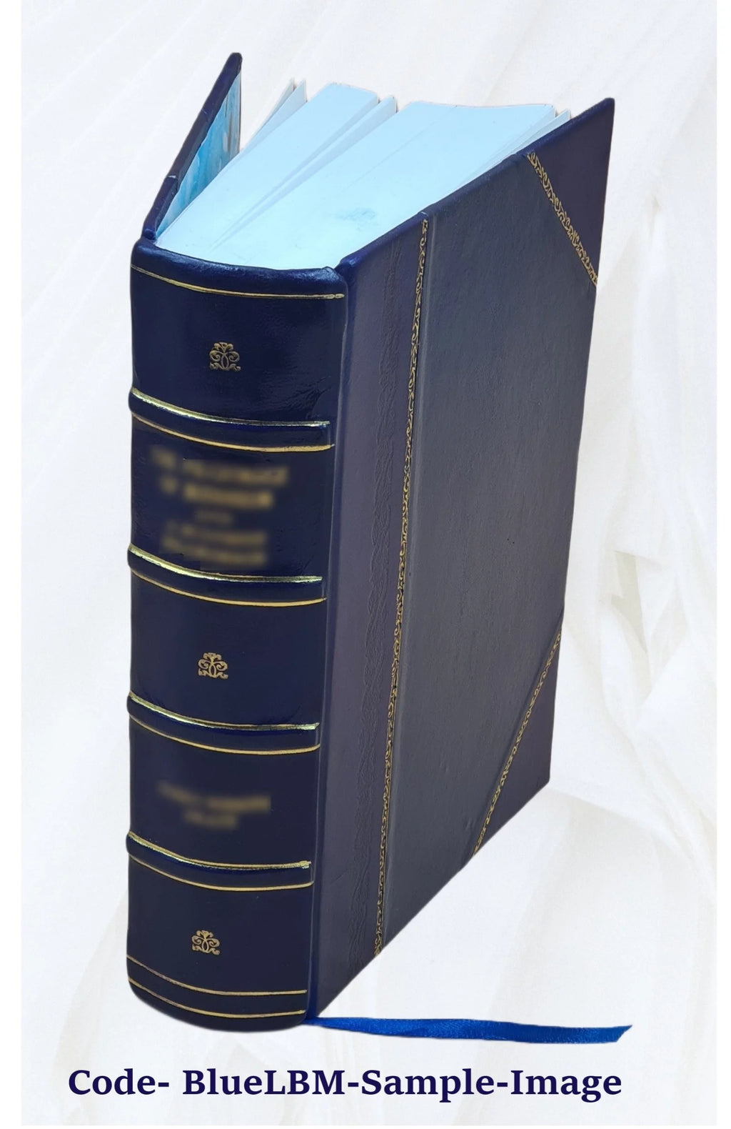 Leather Bound Book E686127