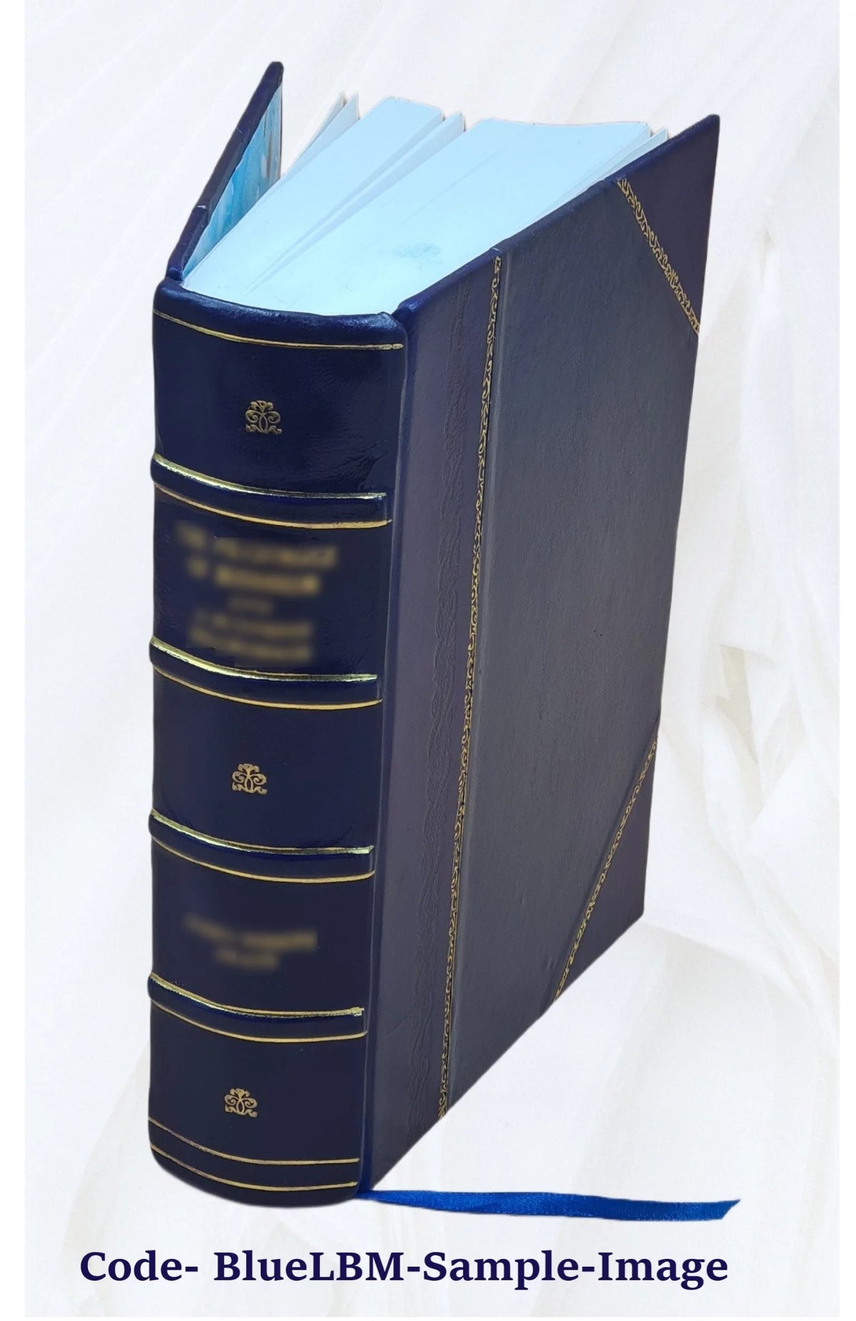 Leather Bound Book E686127