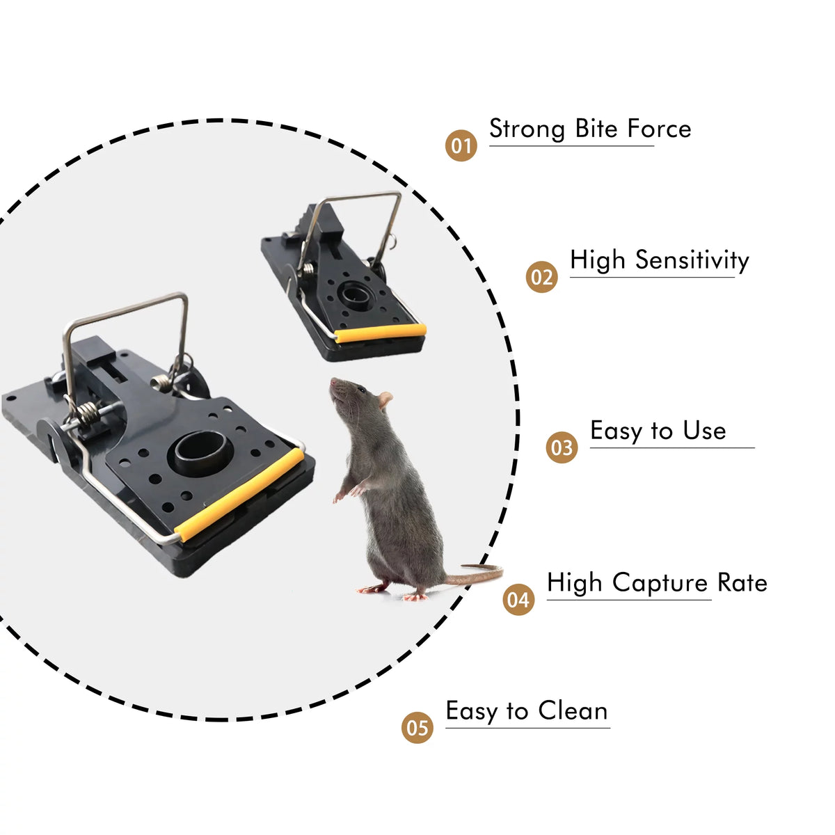 Small Snap Traps for Mice, 3.86" x 1.81" (Pack of 12) W23306