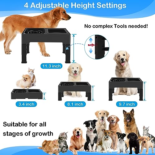 2-in-1 Elevated Slow Feeder Dog Bowls with Non-Skid Silicone Mat E3386