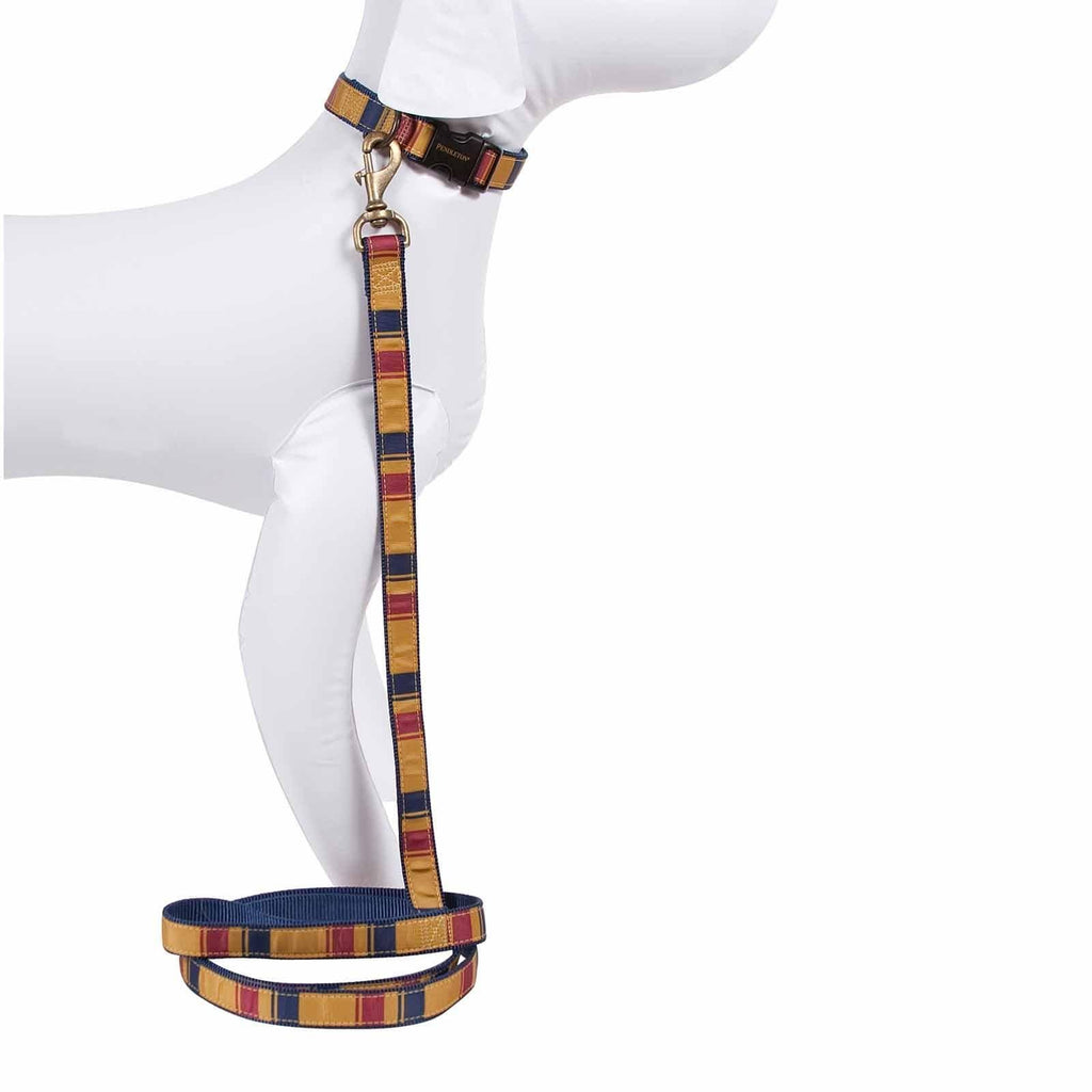 Yellowstone Hiker Dog Leash C2090