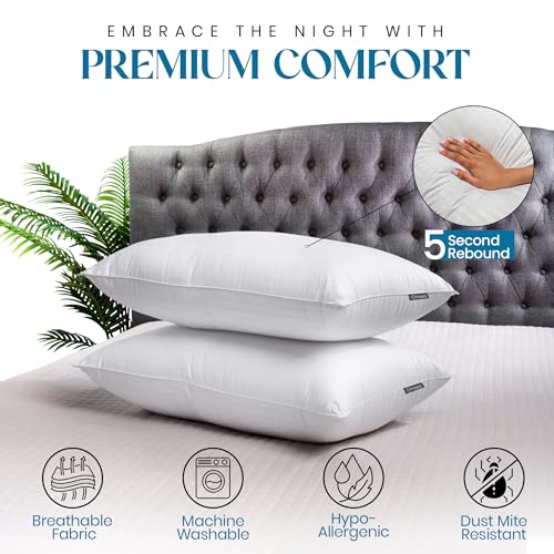King Set of 2 Down Alternative Microfiber Bed Pillows B71792