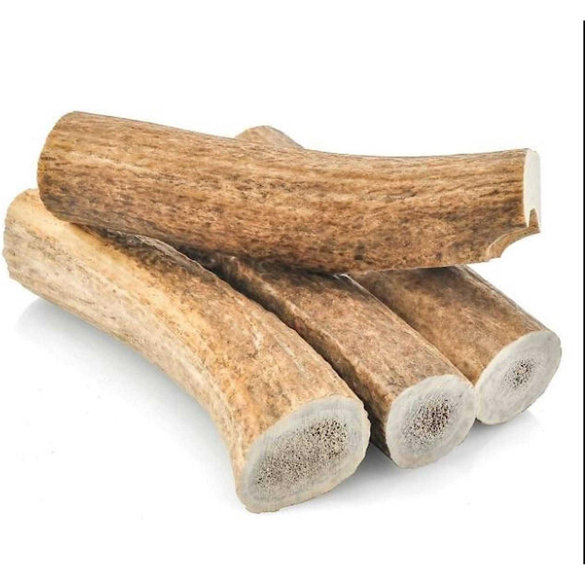 All Natural Whole Elk Antler Dog Chew Q746598