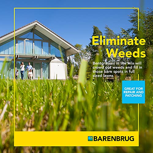25 LB Bag Bermudagrass Grass Seed Y52236