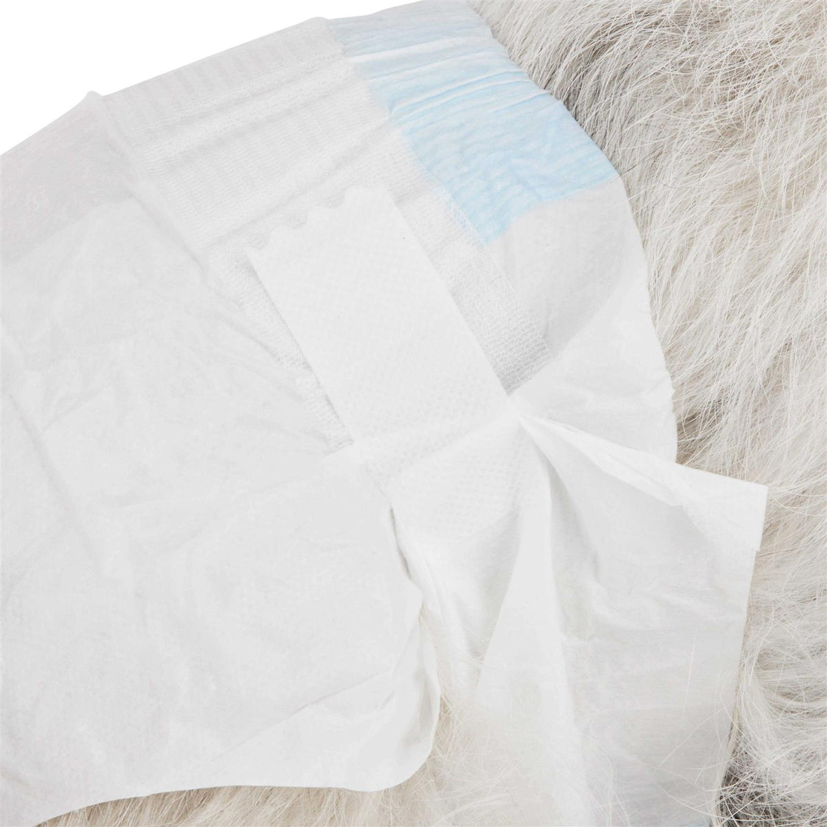 Disposable Pet Diapers Y7694
