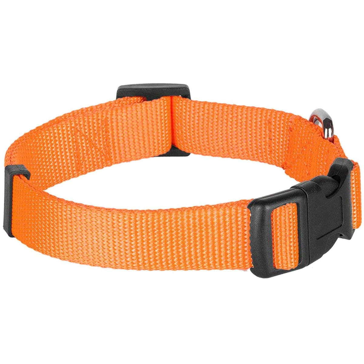 Classic Dog Collar V909306