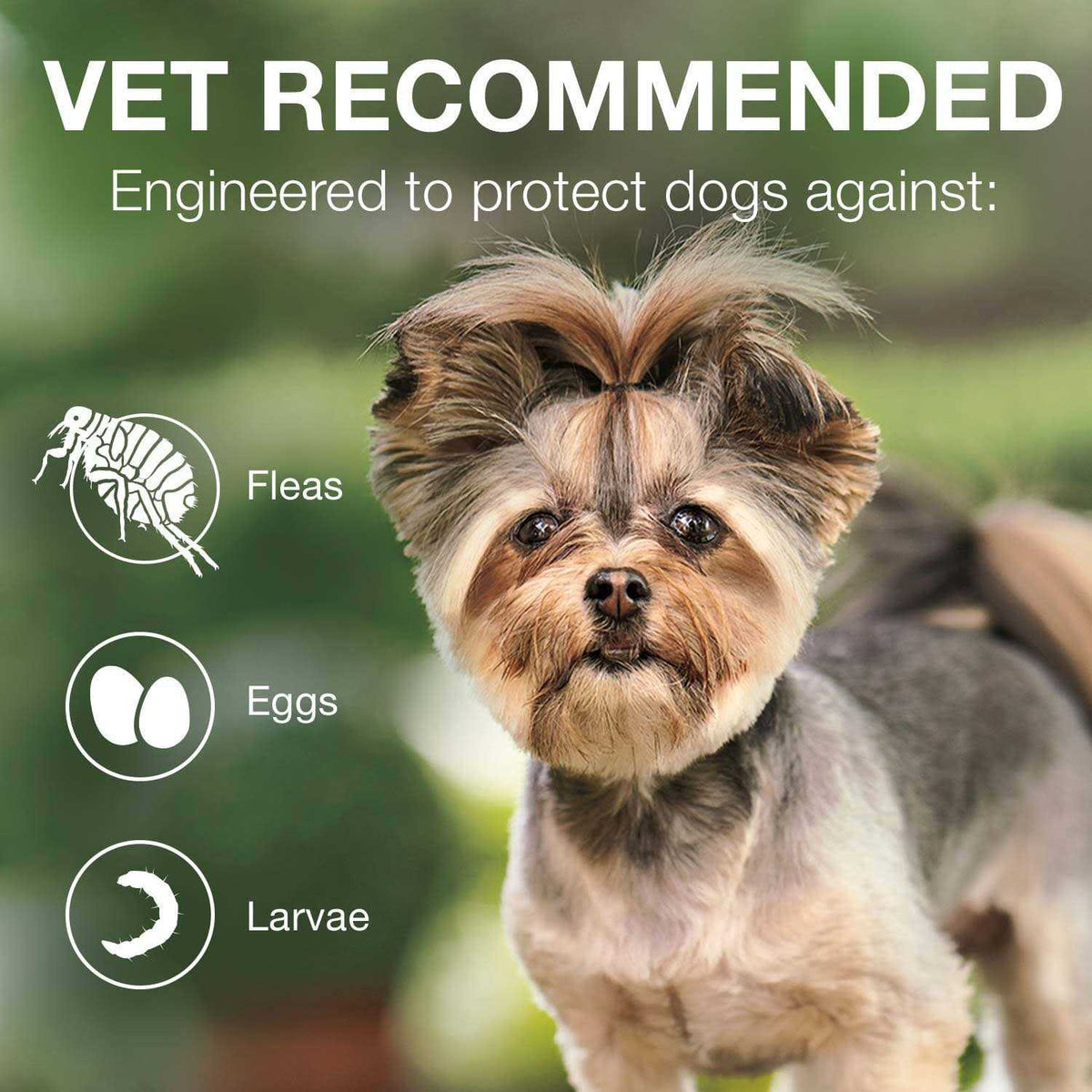 Advantage II for Dogs 3 X6761