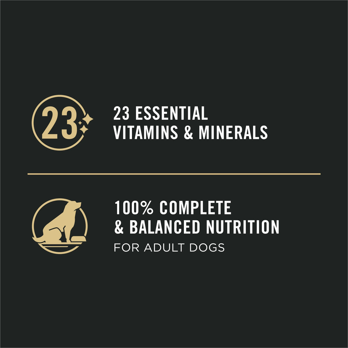 Dry Dog Food Sensitive Stomach Salmon & Rice 13 oz Cans 12 Pack S80830