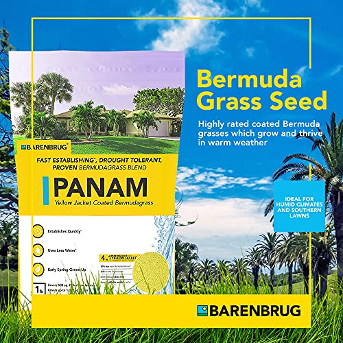 25 LB Bag Bermudagrass Grass Seed Y52236