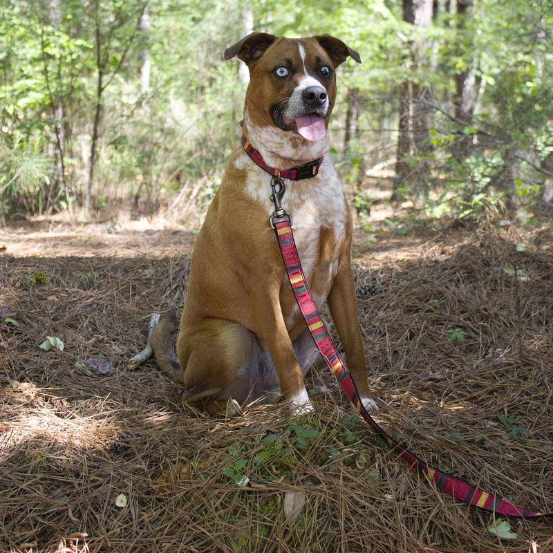 Yellowstone Hiker Dog Leash C2090