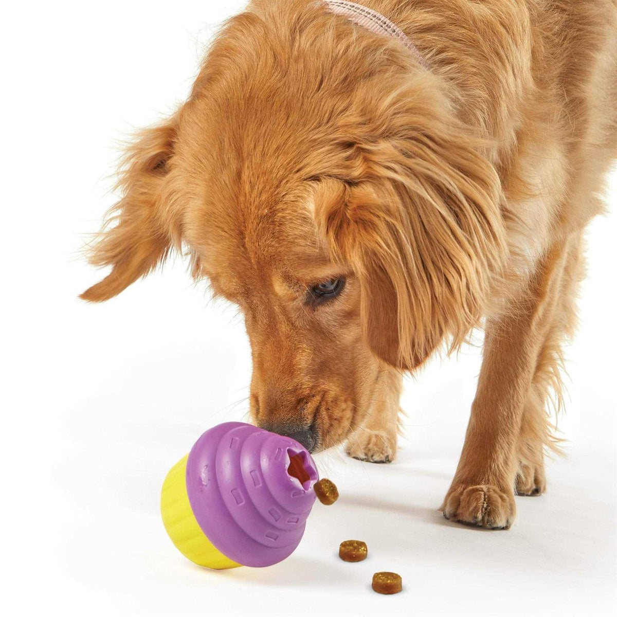 Cupcake Dog Treat Dispenser X313548