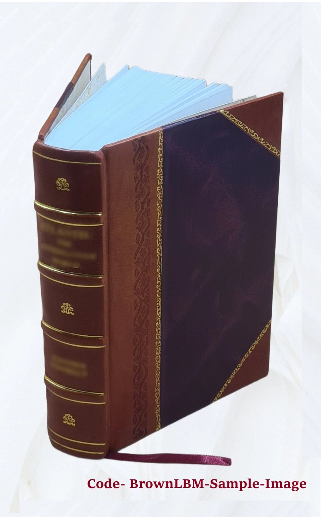 Leather Bound Book E686127