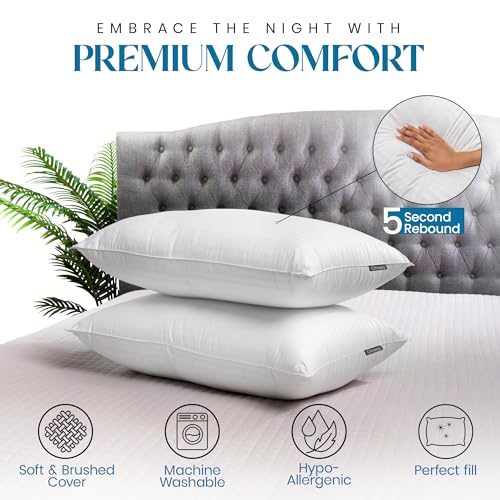 King Set of 2 Down Alternative Microfiber Bed Pillows B71792
