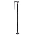 Cane R519