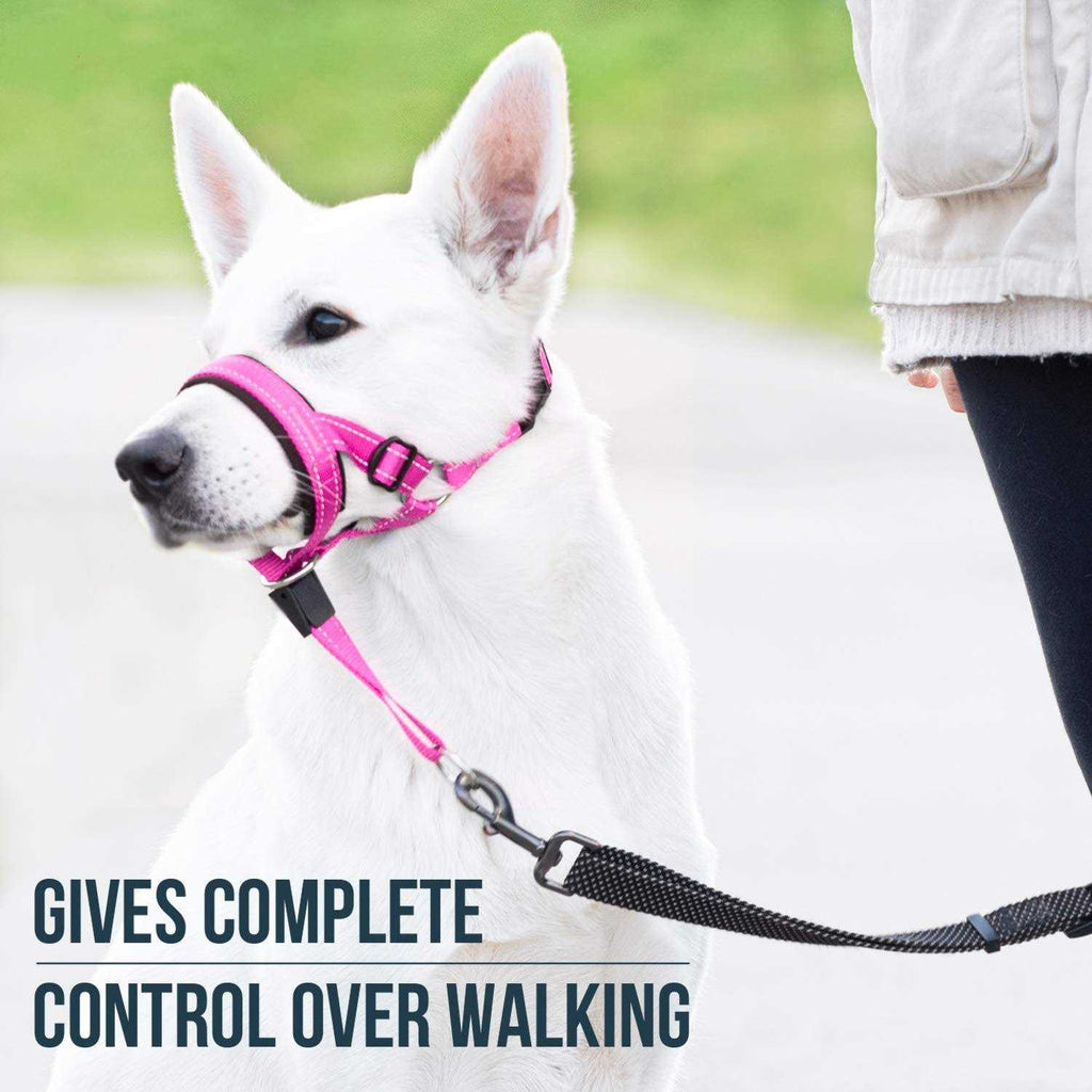 Dog Head Halter with Safety Strap B326