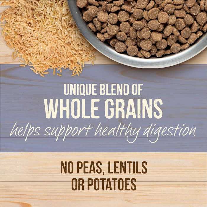 Healthy Grains Freeze Dried Raw Coated Dry Dog Food G730