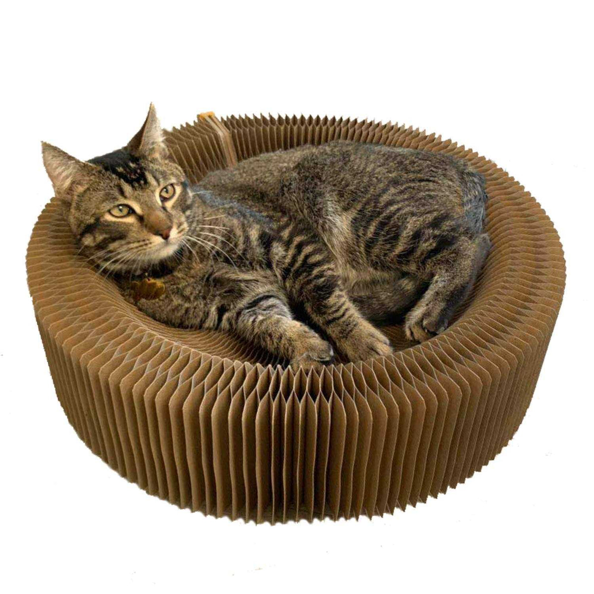 Cat Scratcher Lounge Bed B356