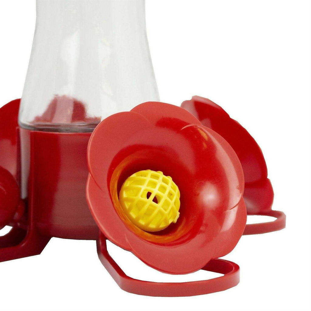 Glass Hummingbird Feeder 8 oz X35494